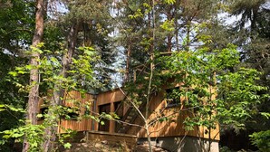 Exterior - New Wooden Chalet in the Woods With Roof Terrace, at Colmar and on the Wine Route! (Labaroche)