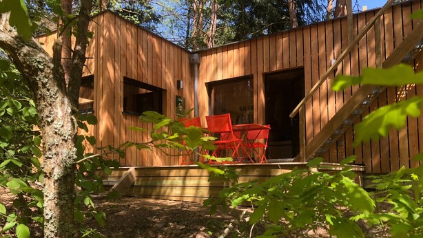 Property grounds - New Wooden Chalet in the Woods With Roof Terrace, at Colmar and on the Wine Route! (Labaroche)