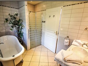 Combined shower/tub - Luxurious Villa in the Pyrenees With the Most Beautiful View in all of France! (Salles)