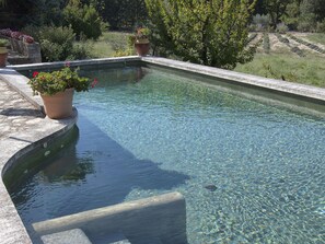 Pool - Nice and Quiet! Villa With Pool on the Most Beautiful Spot in the Vaucluse! (Fontaine-de-Vaucluse)