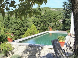 Outdoor pool - Nice and Quiet! Villa With Pool on the Most Beautiful Spot in the Vaucluse! (Fontaine-de-Vaucluse)