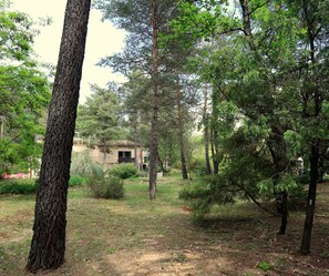 House | View from property - Splendid Holiday Home in Vagnas With Private Swimming Pool (Vagnas)