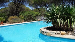 Outdoor pool - Appealing Villa in Vidauban With Private Swimming Pool (Vidauban)