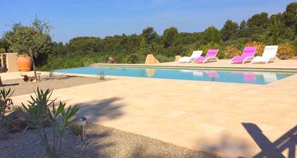 Beautiful Villa in Tourtour With Private Swimming Pool