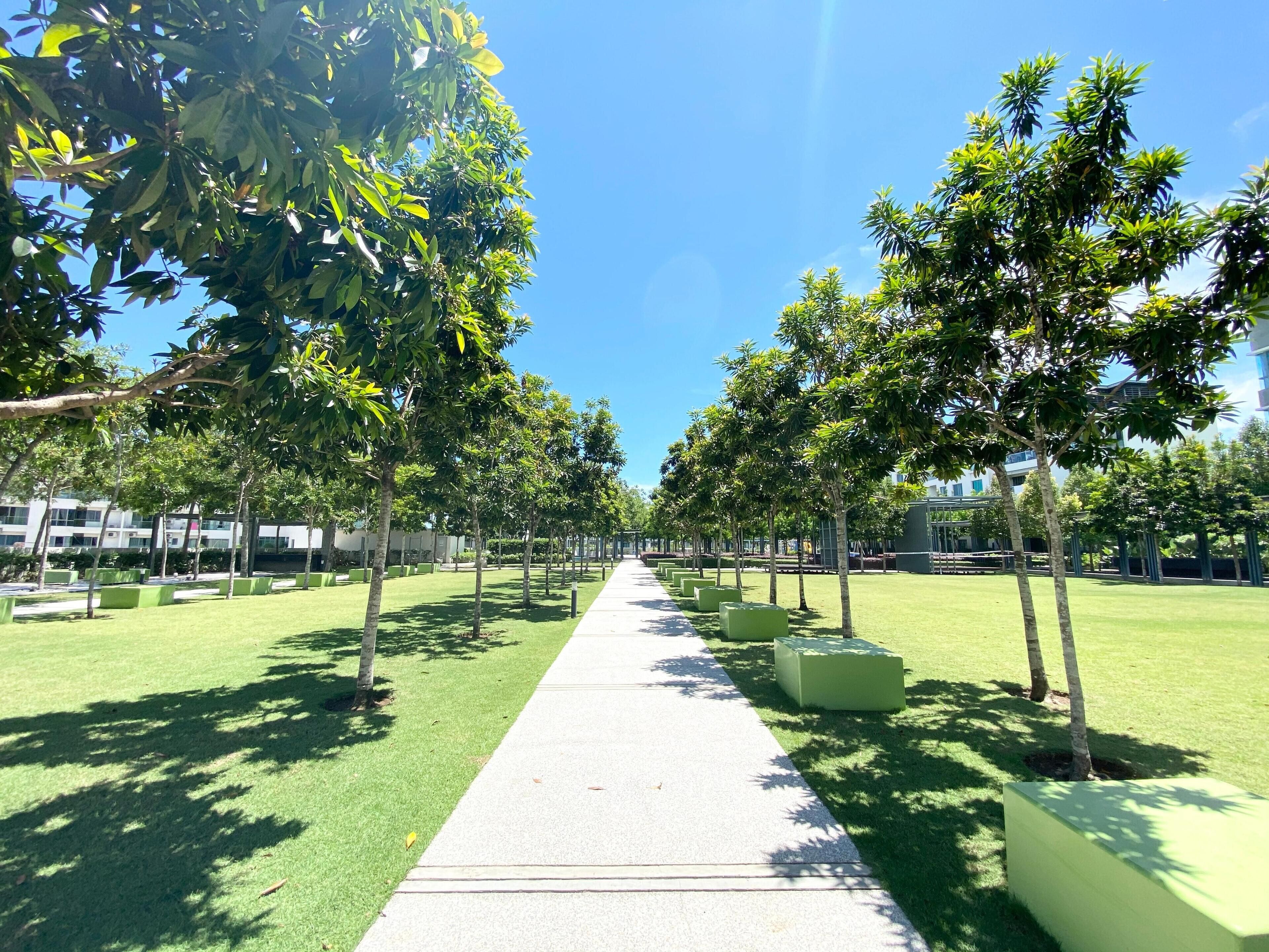 A pathway lined with evenly spaced trees and green planters, leading towards a building with a modern architectural style.
