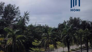 A parking area with several cars, palm trees, and a road in the background.