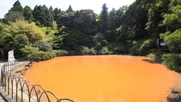 A large, circular, orange-colored body of water surrounded by a metal fence and lush greenery.