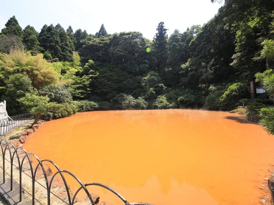 Un cuerpo de agua grande y circular, de color naranja, rodeado por una cerca de metal y abundante vegetación.