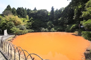 Point of interest - BEPPU DOG RESORT HILLS & BAY (Beppu)