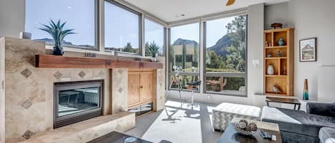 Smart TV, fireplace, books