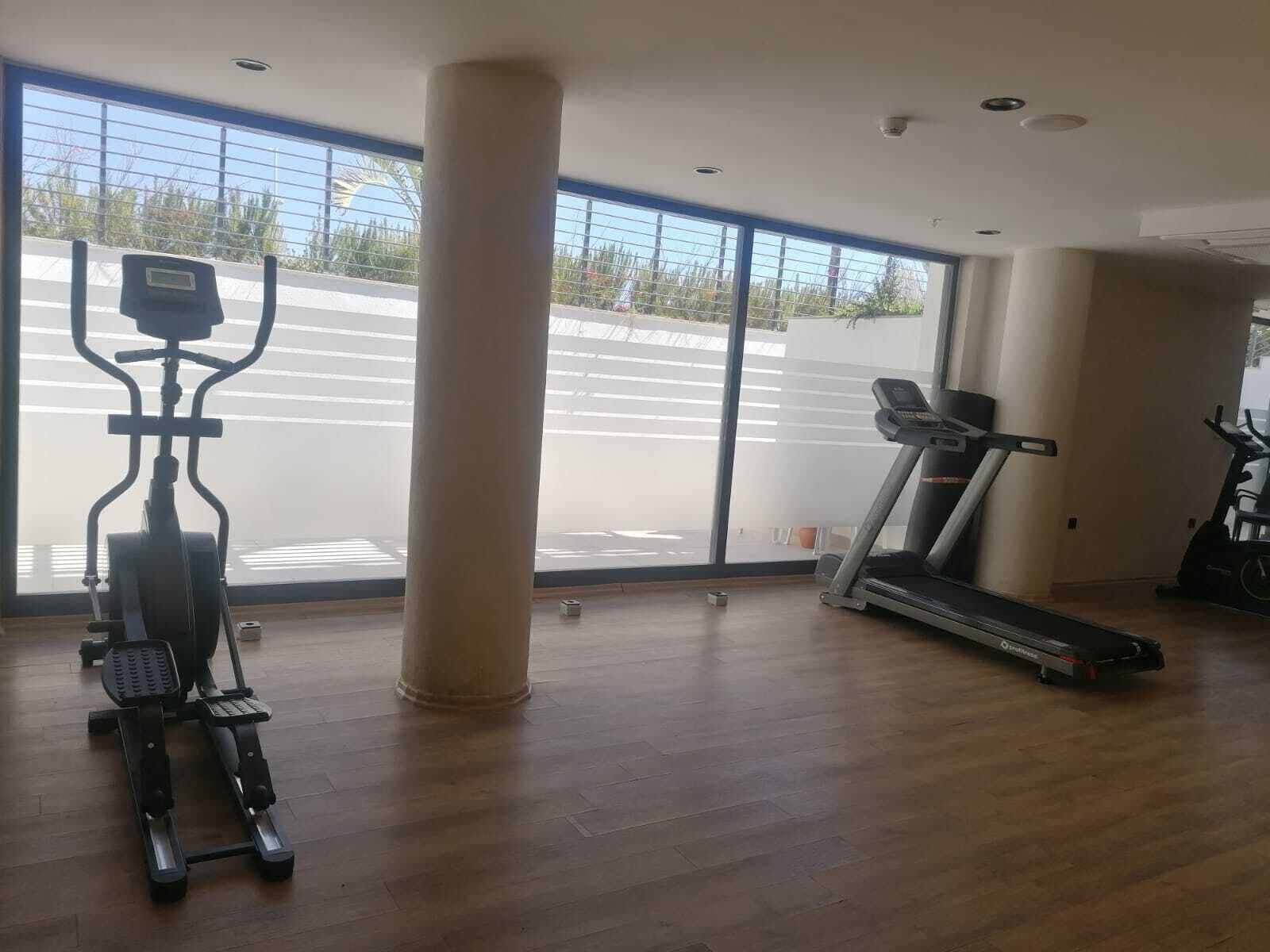 Uma academia ampla com equipamentos de cardio, grandes janelas e piso de madeira.