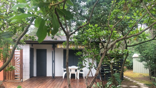 Une terrasse en bois avec une table et des chaises, entourée de verdure et d’un petit abri de jardin.