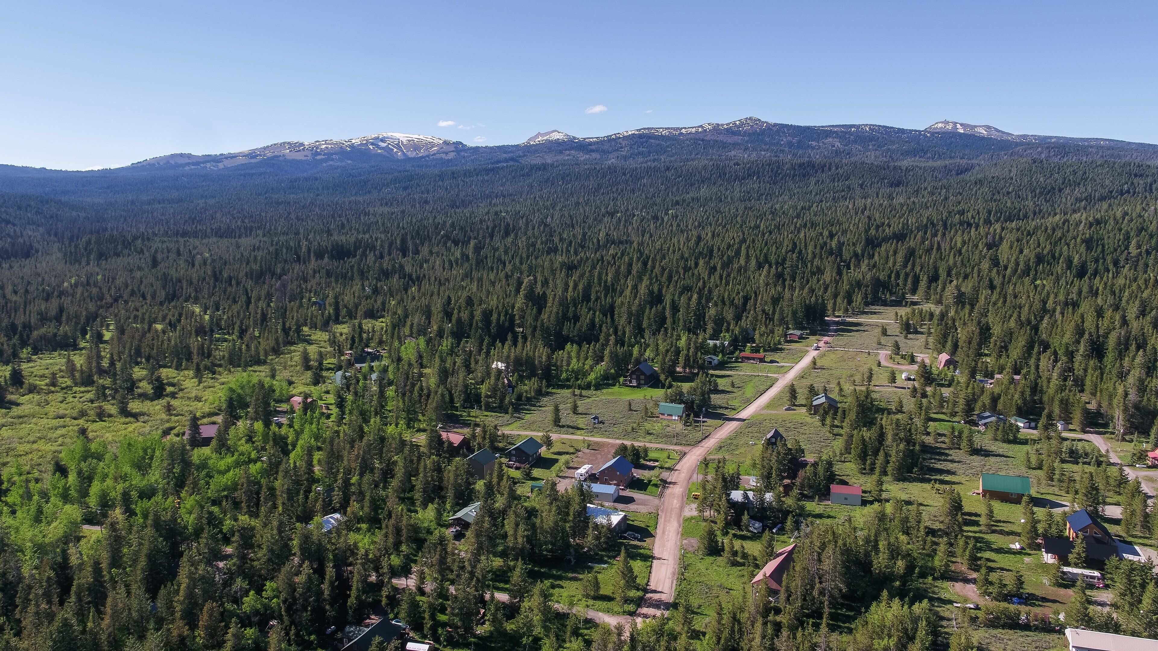 Ett flygbildsbild av ett skogsområde med enstaka hus och en tydlig väg.