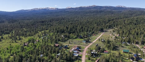 Ett flygbildsbild av ett skogsområde med enstaka hus och en tydlig väg.