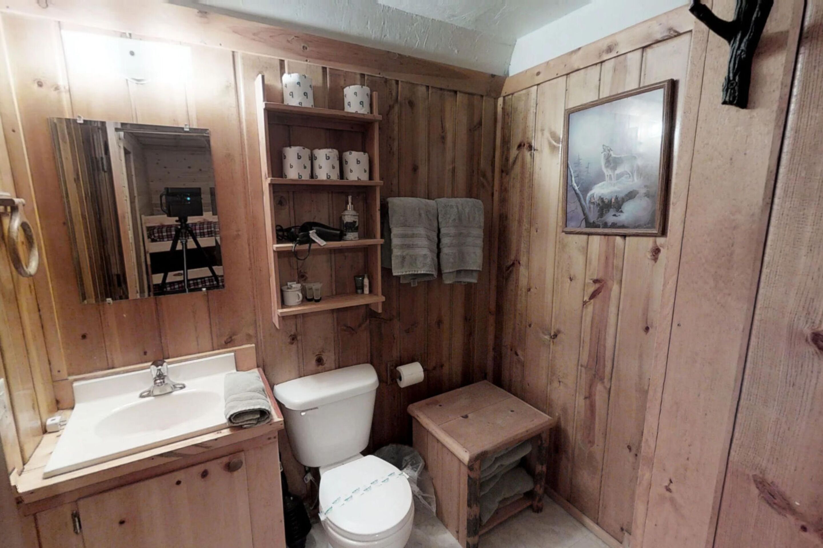 Ein Badezimmer mit Holzwandverkleidung, ausgestattet mit Waschbecken, Toilette und Regalen für Pflegeprodukte.