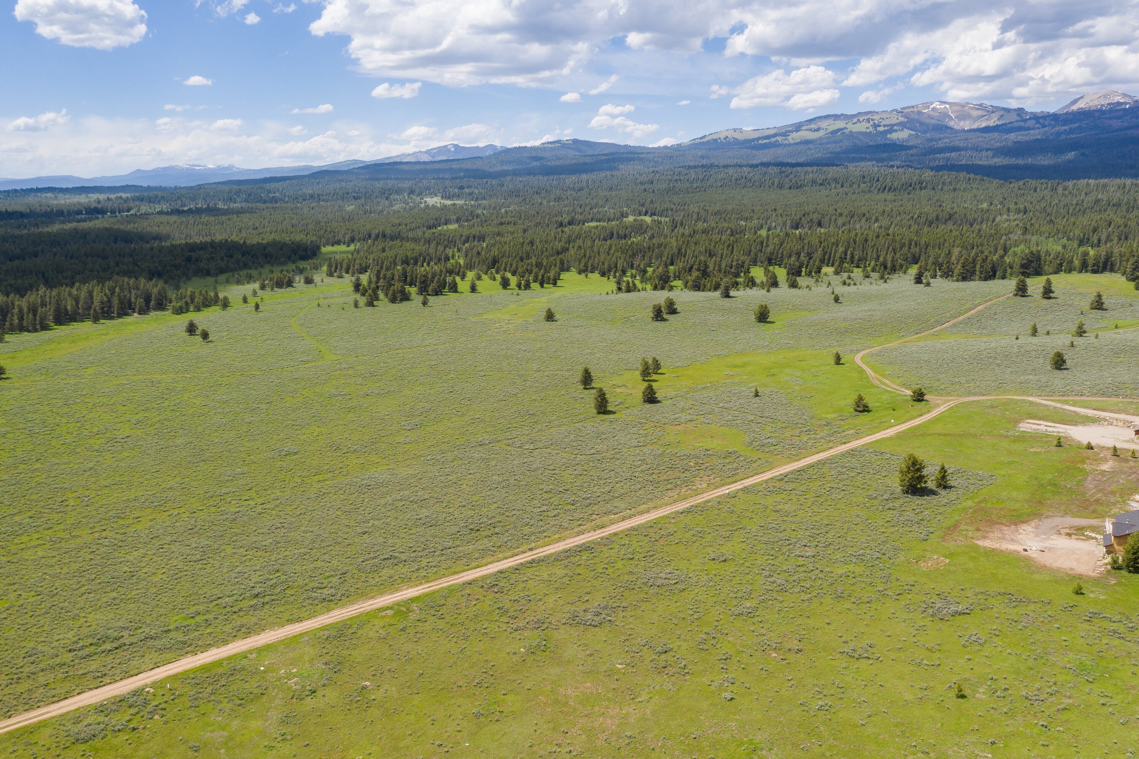 An aerial view of a green field with scattered trees and a dirt path.