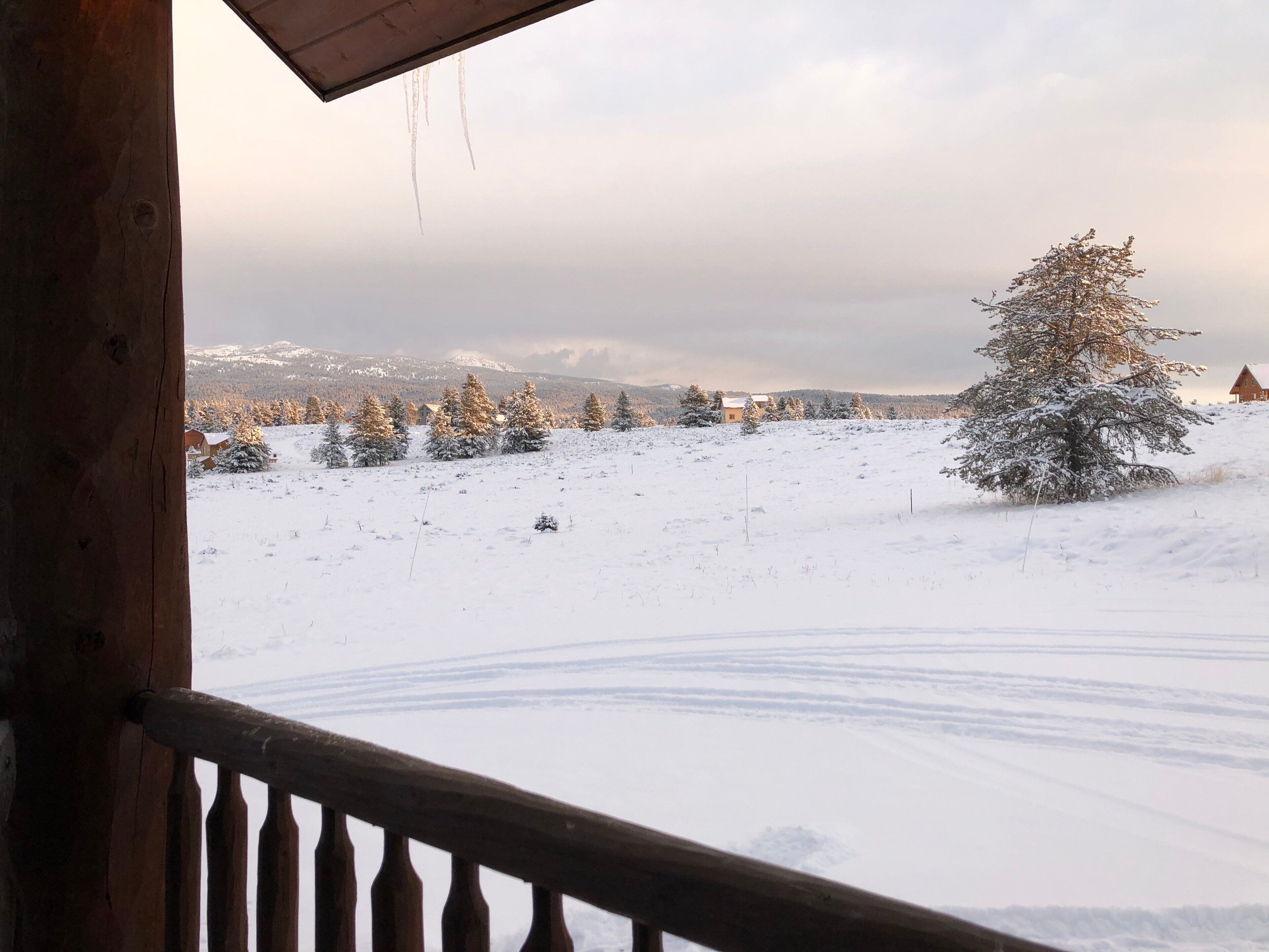 A snowy landscape with a wooden cabin and a snow-covered tree.