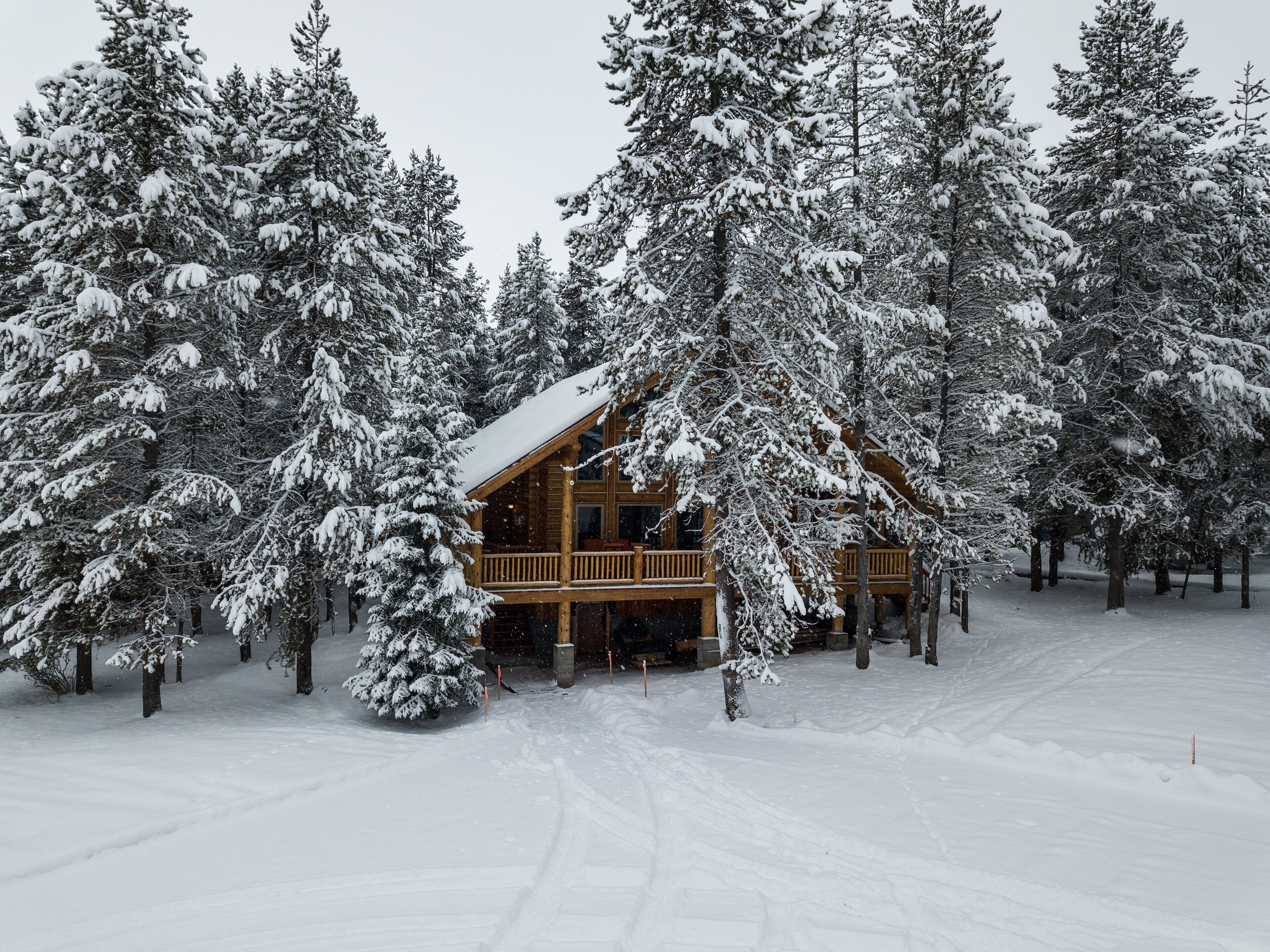 A wooden cabin surrounded by snow-covered trees.