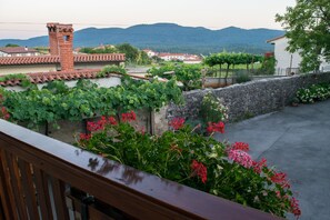 Apartment | Terrace/patio - Tourist Farm Petelin-Durcik (Sezana)