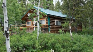 A log cabin with a porch, surrounded by dense forest. - Remington Retreat (Island Park)