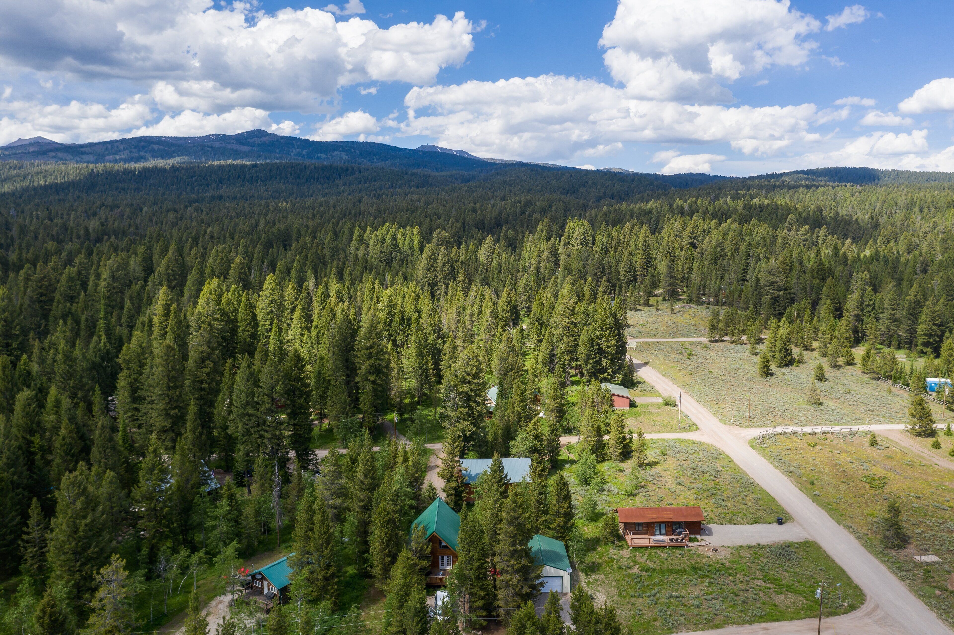 A forested area with cabins and a clear sky.