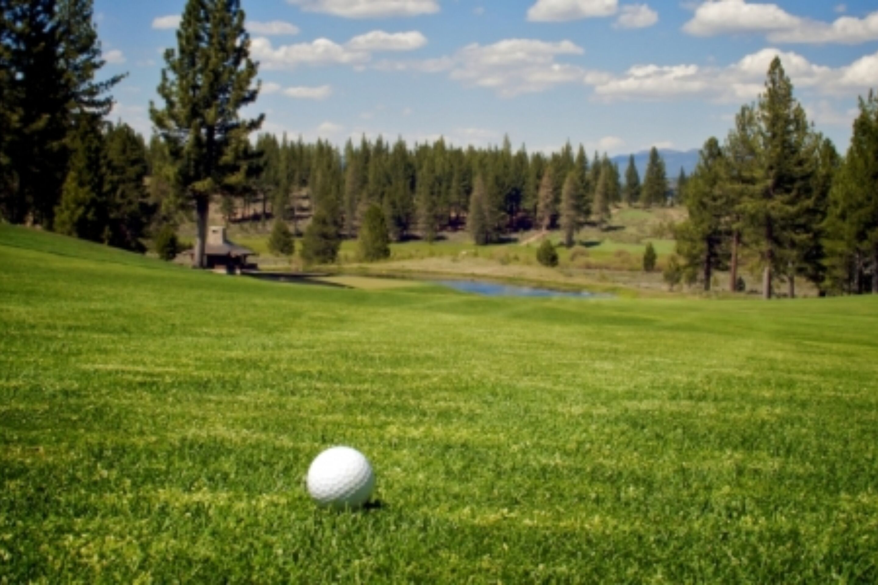 A golf ball on a well-maintained green with a backdrop of trees and a clear sky.