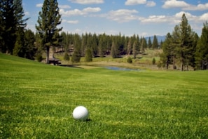 Golf - Quickdraw (Island Park)