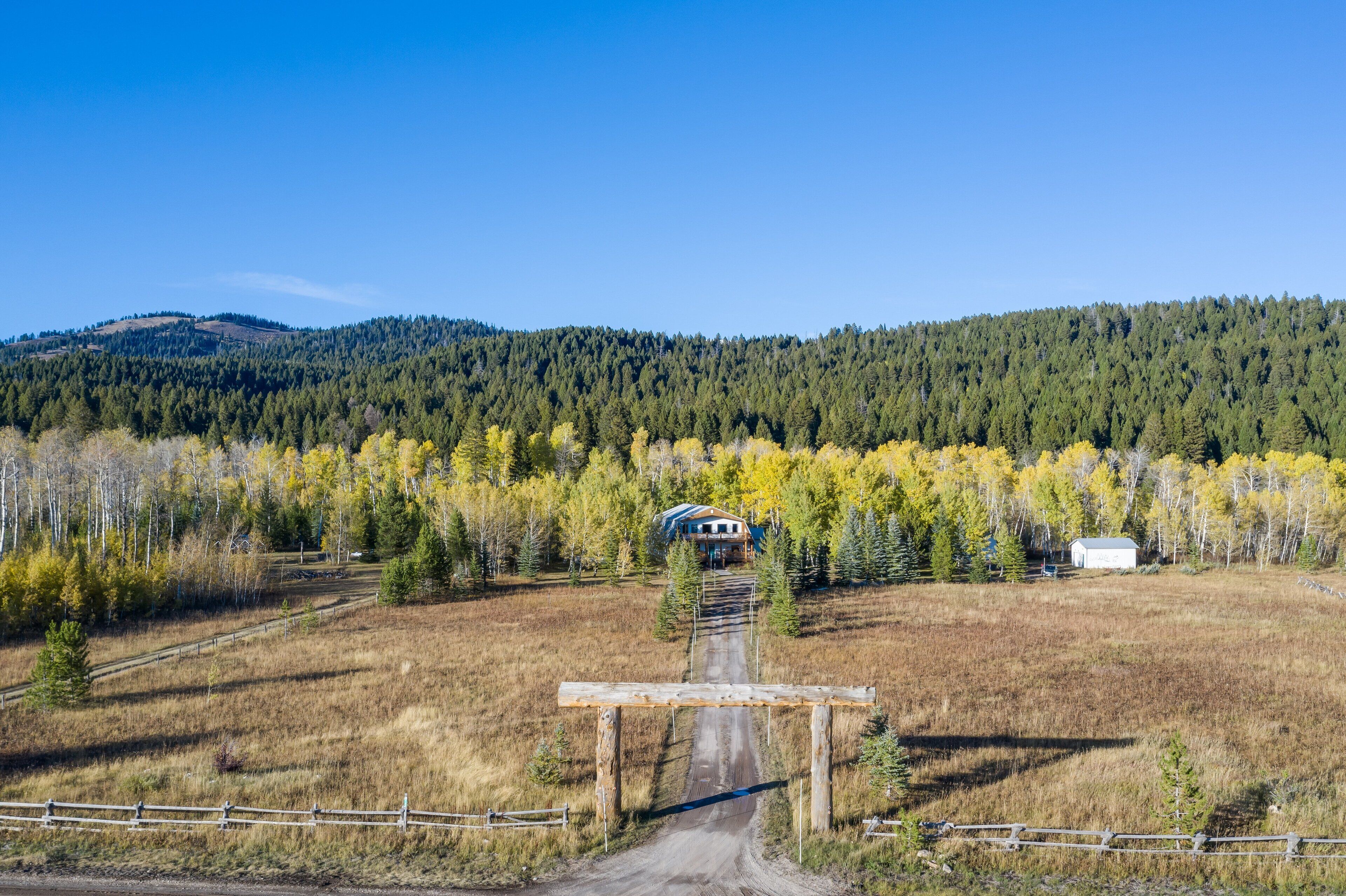A rural landscape with a dirt road leading to a house surrounded by trees and a forested hill in the background.