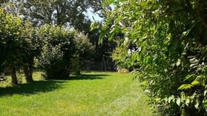 Una zona exterior amb gespa, arbres i un tobogan.