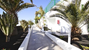 A pathway lined with palm trees and a white building with a green roof.