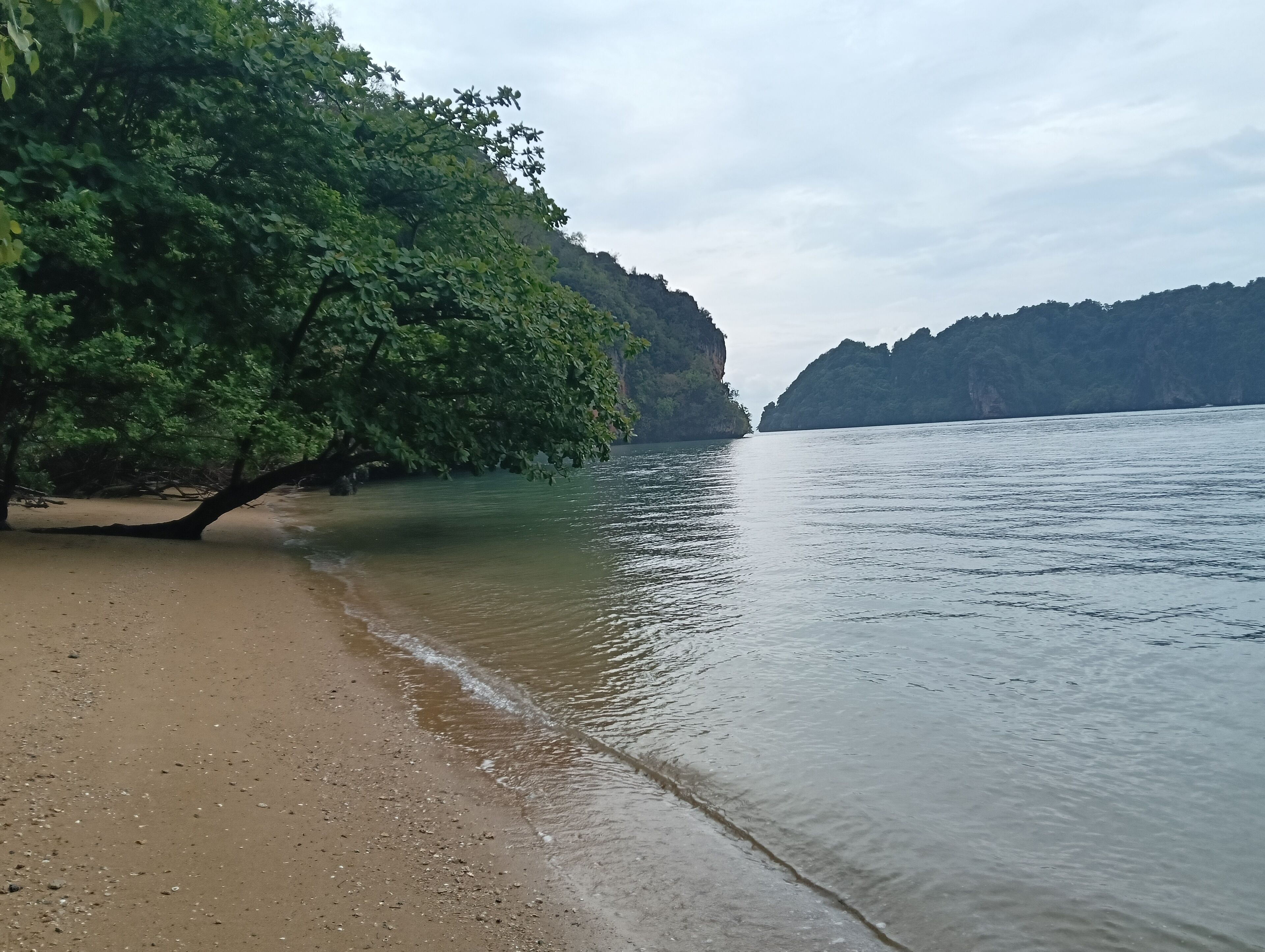 A beach with a tree-lined shoreline and calm water.