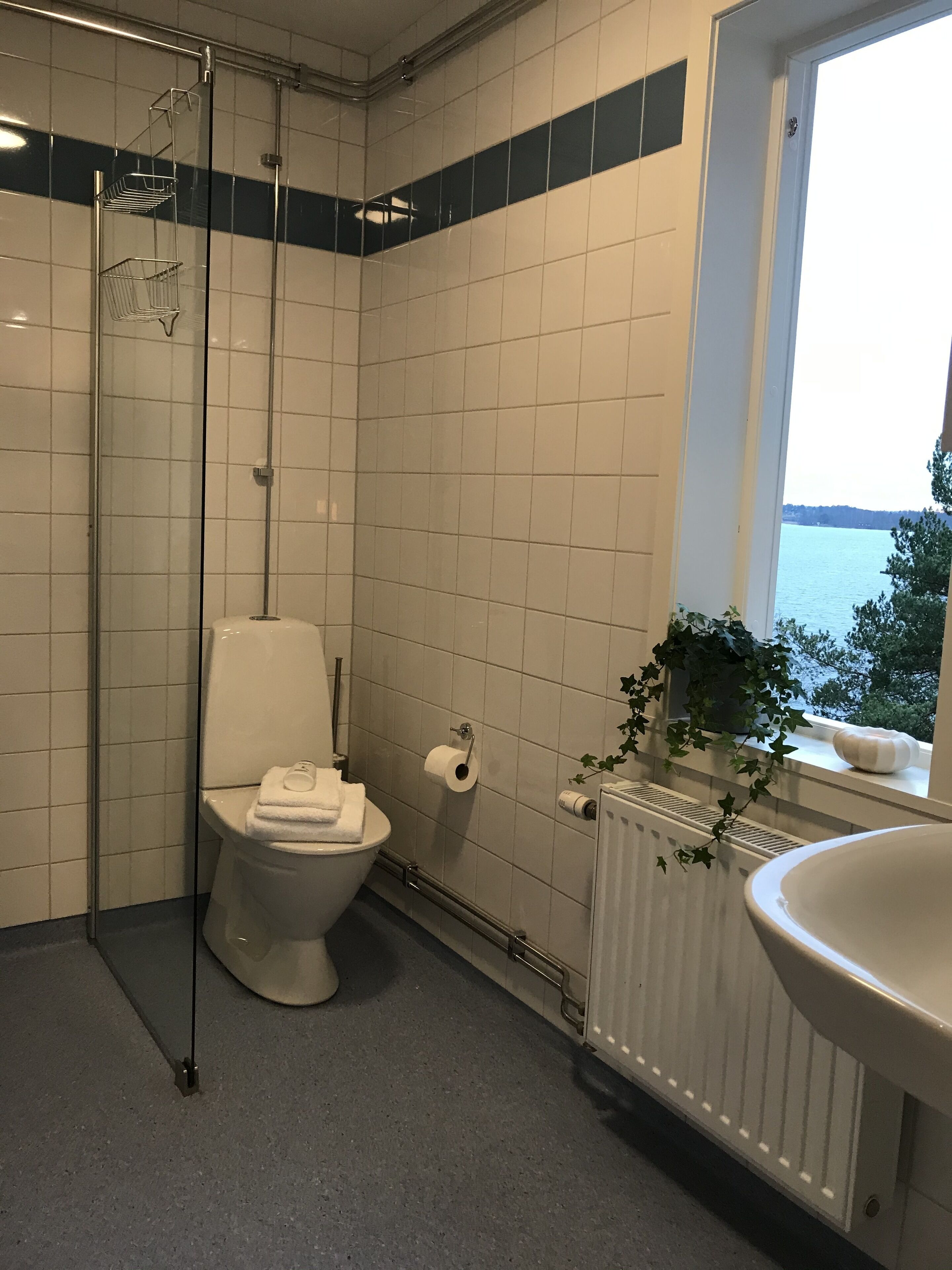 Un baño con inodoro, ducha y lavabo.
