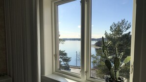 A window with a view of a lake and a cactus plant on the windowsill.