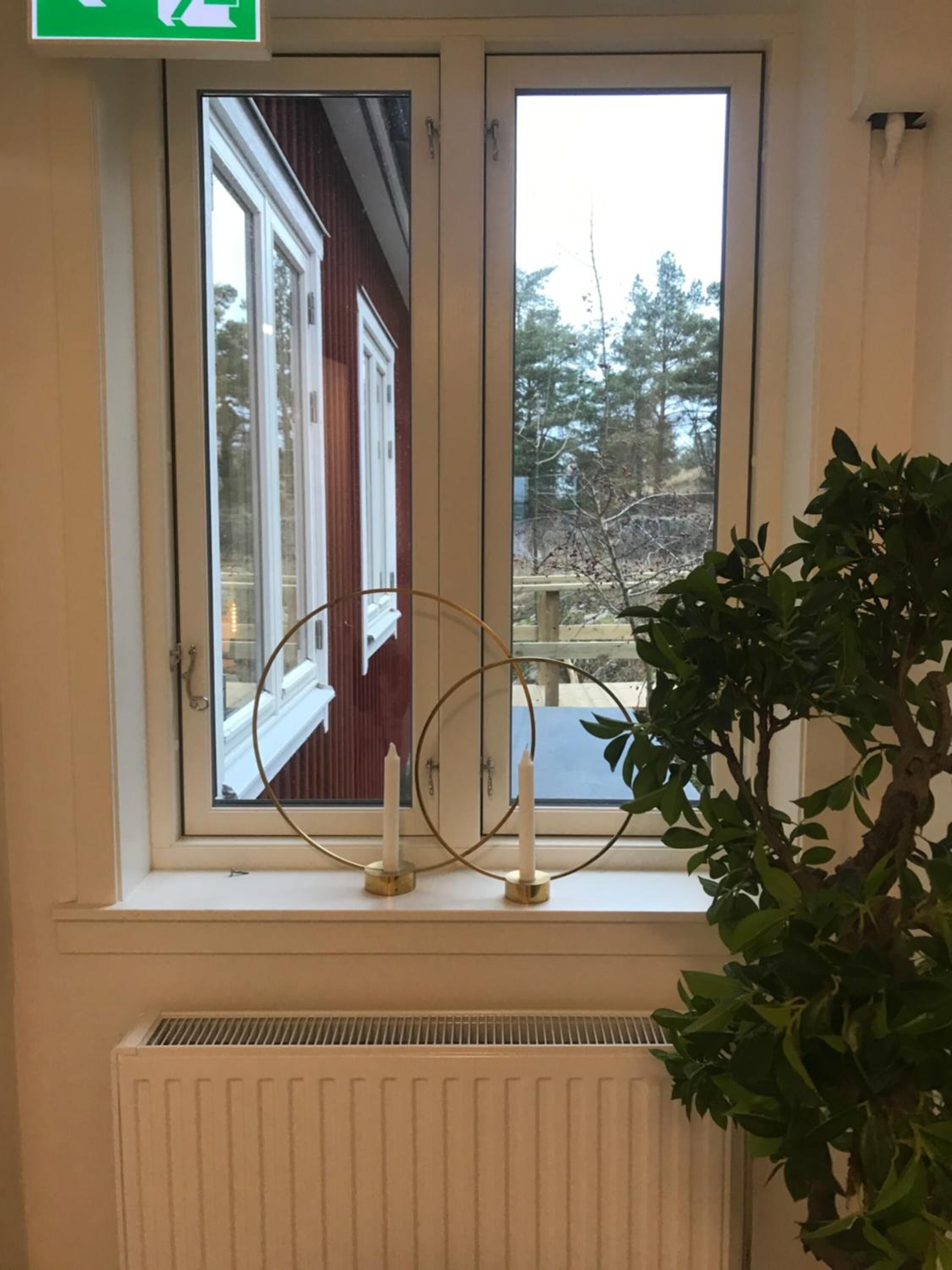 Une fenêtre donnant sur un immeuble, avec une plante posée sur le rebord.
