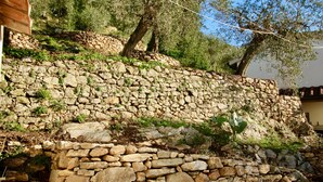 A stone wall with a rustic appearance, surrounded by greenery and trees. - Pisa/Lucca - Perfect Location - Entire Property - Tower View - Fabulous Pool (Pisa)