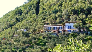 A hillside villa with multiple balconies, surrounded by dense greenery and trees. - Pisa/Lucca - Perfect Location - Entire Property - Tower View - Fabulous Pool (Pisa)
