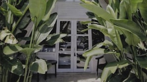 Une construction à toit de chaume, dotée d’un intérieur blanc et entourée de grandes plantes vertes.