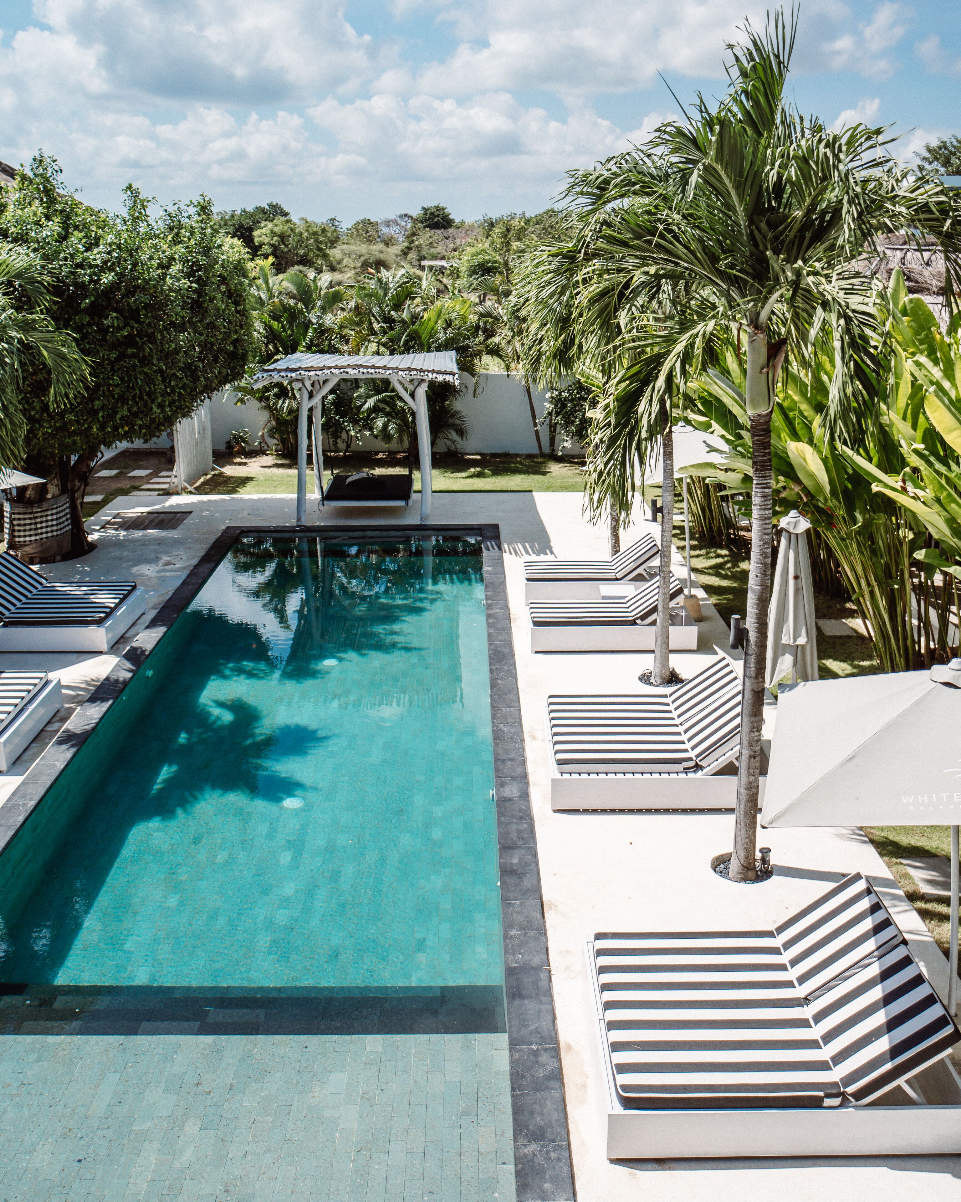 Outdoor pool, sun loungers