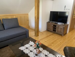 Flat-screen TV - Vineyard Cottage Stepan (Crnomelj)