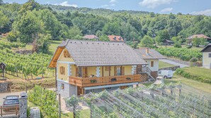 A house with a balcony, a vineyard, and a mountainous backdrop. - Vineyard Cottage Stepan (Crnomelj)
