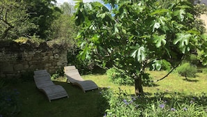 A garden with two wooden lounge chairs, a stone wall, and a large fig tree. - La Balastière (Beaumont-en-Veron)