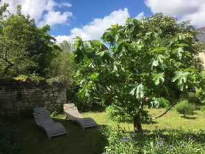 Garden - La Balastière (Beaumont-en-Veron)