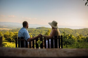 View from property - Vineyard cottage Škatlar 2 (Novo Mesto)