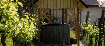 Vineyard cottage Škatlar 3