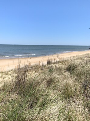 En strand med et træhegn og græsbeklædte klitter.