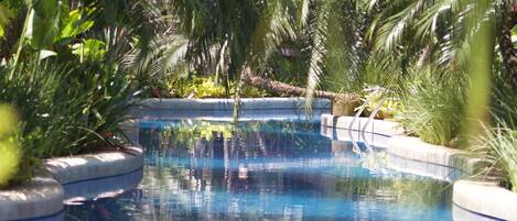 Una piscina de diseño curvo, rodeada de abundante vegetación y palmeras.
