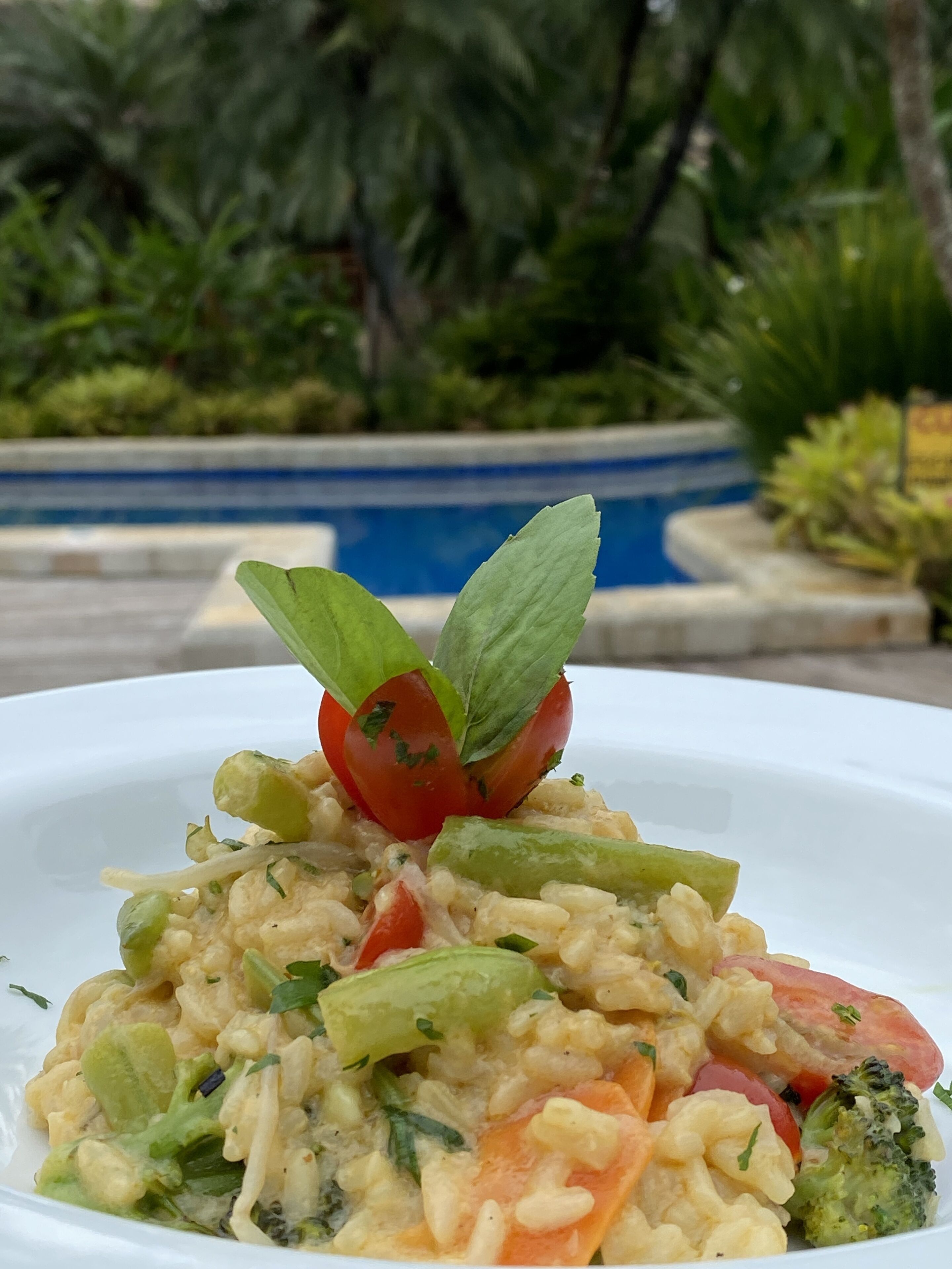Une assiette de nourriture composée de légumes et de pâtes, garnie d’une tomate et de feuilles de basilic.