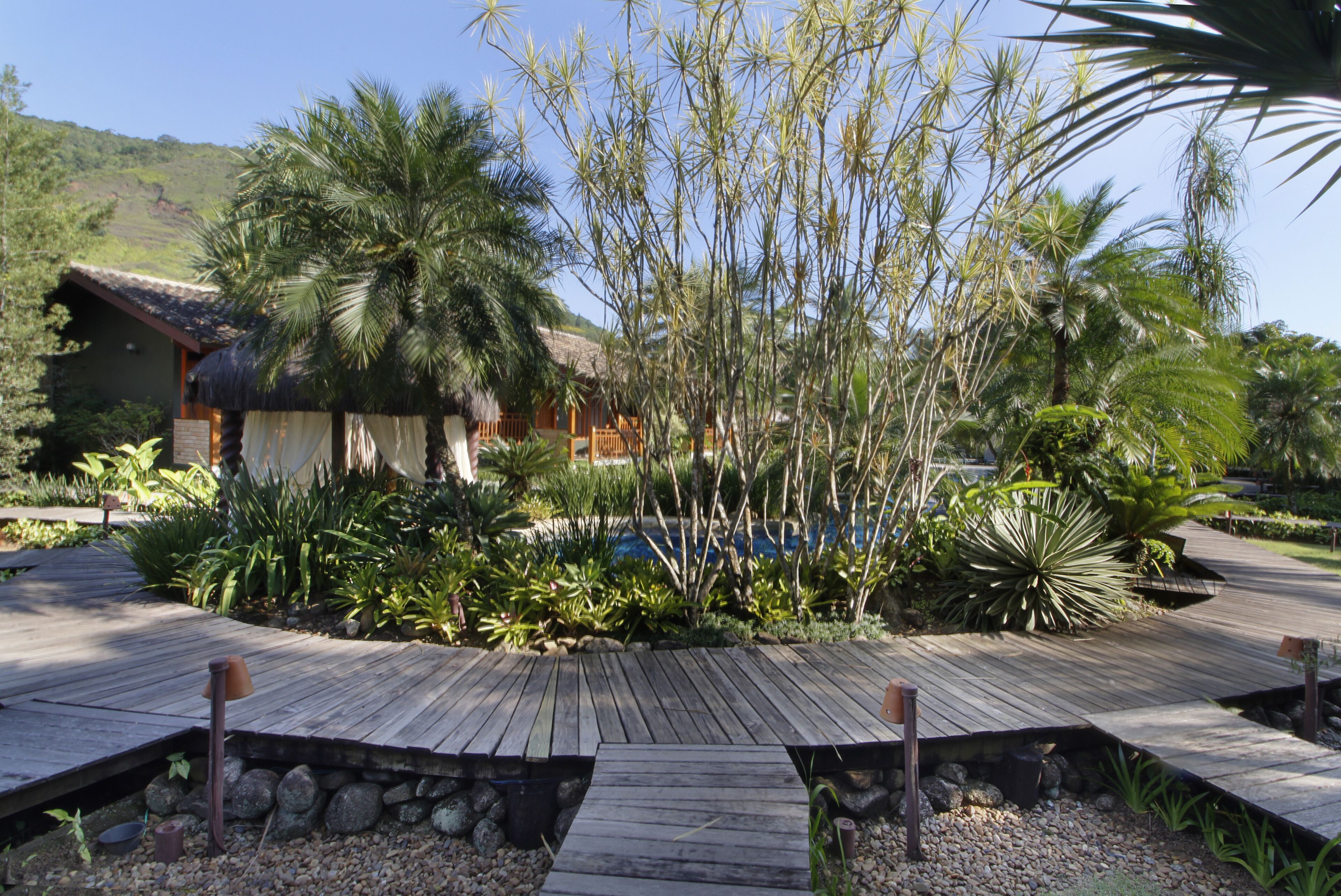 Une terrasse en bois mène à un espace piscine agrémenté de plantes tropicales et bordé d’un bâtiment à toit de chaume.
