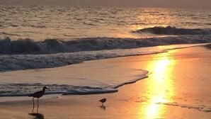Una spiaggia con onde e un tramonto.