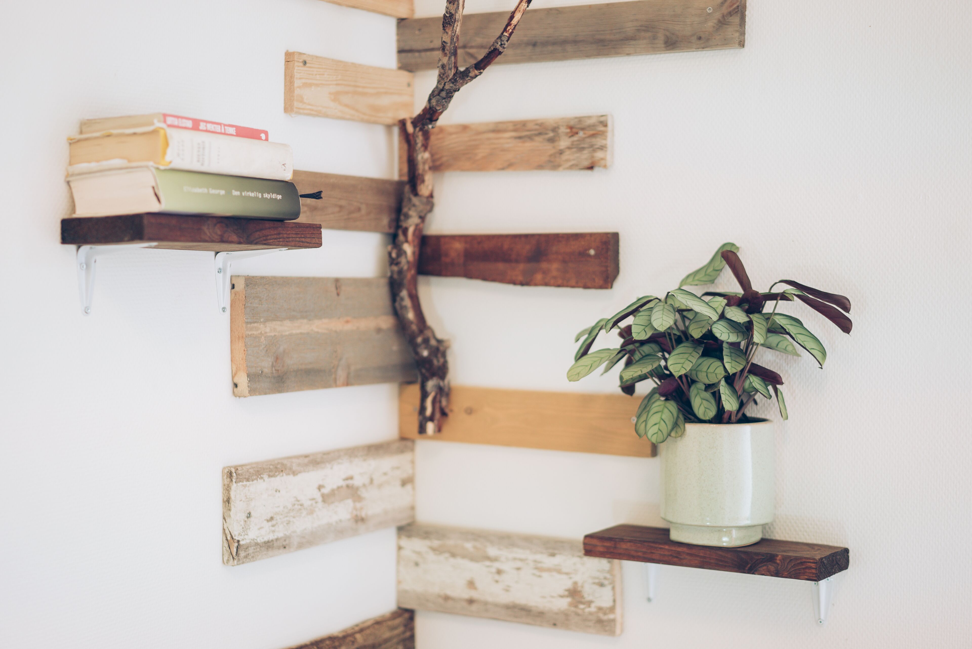 A wall with wooden planks arranged in a staggered pattern, a small shelf with books, and a potted plant.